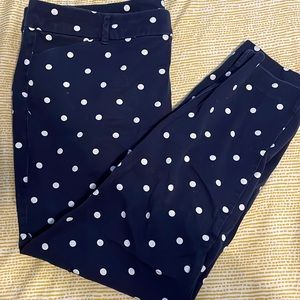 Polka Dot Pixie Dress Pant